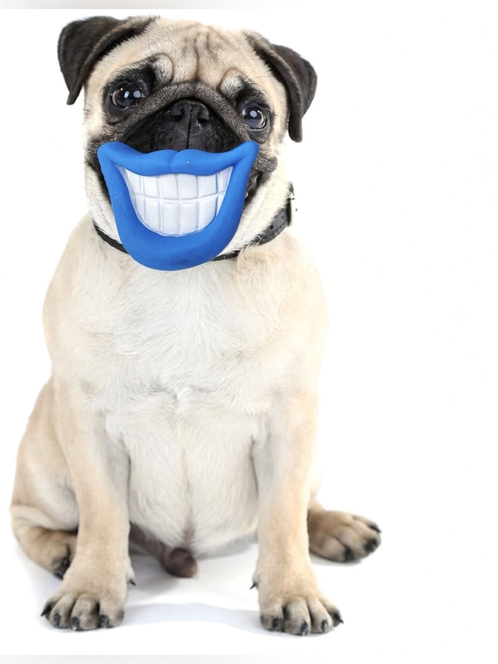 Smiling blue face dog chew toy